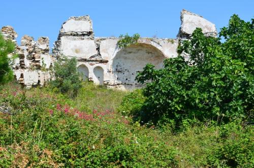 Ερείπια της Παναγιάς Κούταλης